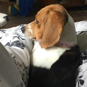 Meet your Posher, Lexlexie